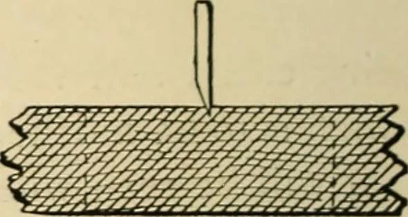 An illustration from Woodworking for beginners; a manual for amateurs, 1900, leaf 437