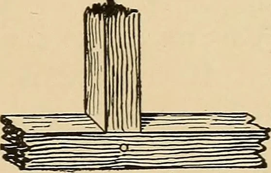 An illustration from Woodworking for beginners; a manual for amateurs, 1900, leaf 440