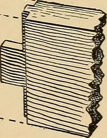 An illustration from Woodworking for beginners; a manual for amateurs, 1900, leaf 440