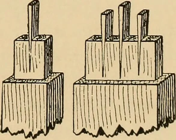 An illustration from Woodworking for beginners; a manual for amateurs, 1900, leaf 442