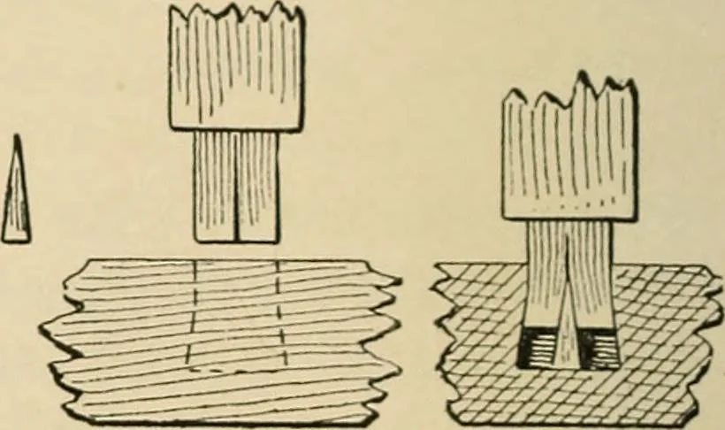 An illustration from Woodworking for beginners; a manual for amateurs, 1900, leaf 443