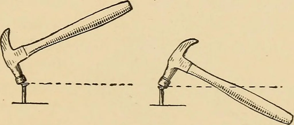 An illustration from Woodworking for beginners; a manual for amateurs, 1900, leaf 444