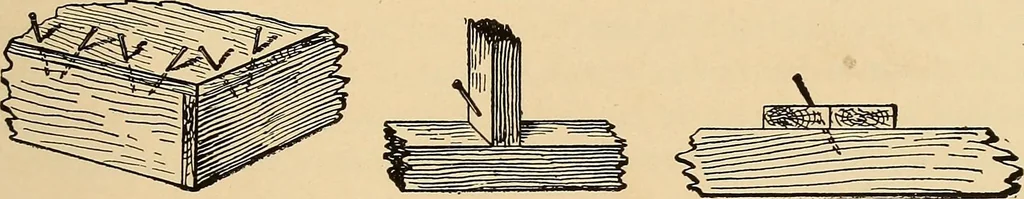 An illustration from Woodworking for beginners; a manual for amateurs, 1900, leaf 446