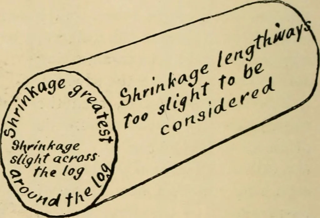 An illustration from Woodworking for beginners; a manual for amateurs, 1900, leaf 45