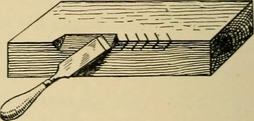 An illustration from Woodworking for beginners; a manual for amateurs, 1900, leaf 457