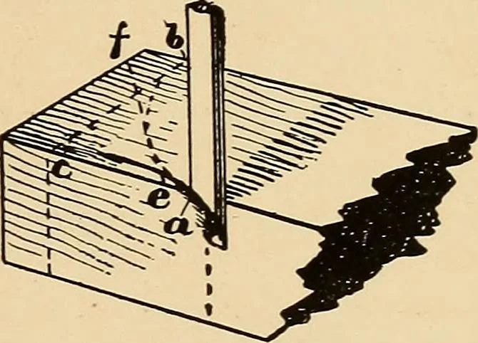 An illustration from Woodworking for beginners; a manual for amateurs, 1900, leaf 458