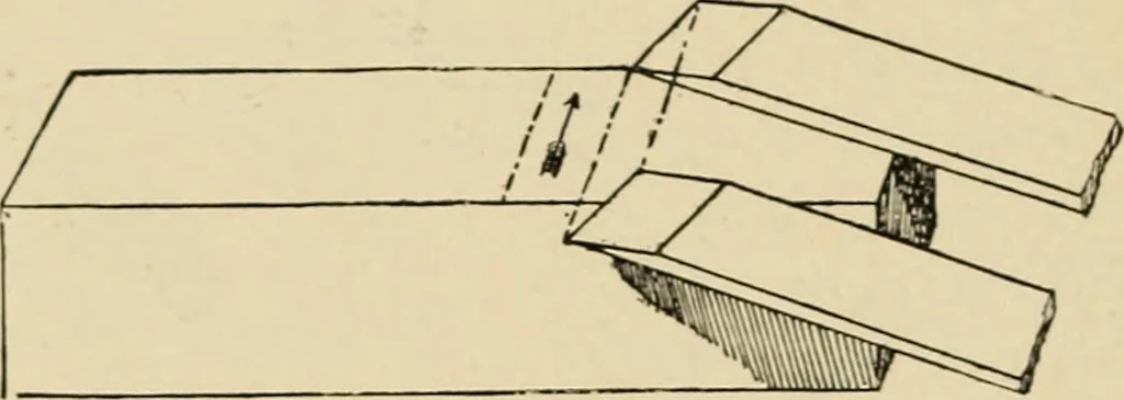 An illustration from Woodworking for beginners; a manual for amateurs, 1900, leaf 459