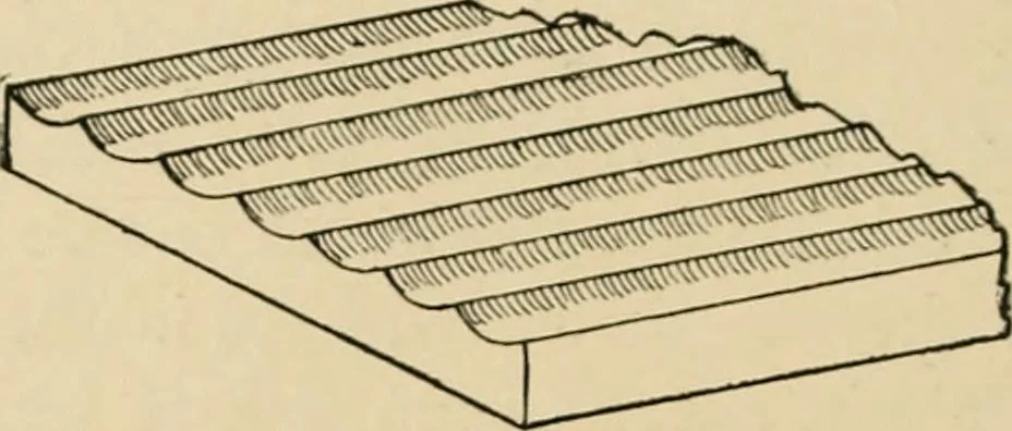 An illustration from Woodworking for beginners; a manual for amateurs, 1900, leaf 461