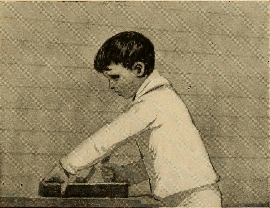 An illustration from Woodworking for beginners; a manual for amateurs, 1900, leaf 462