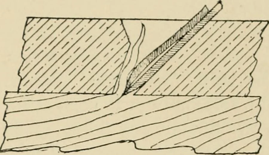 An illustration from Woodworking for beginners; a manual for amateurs, 1900, leaf 467