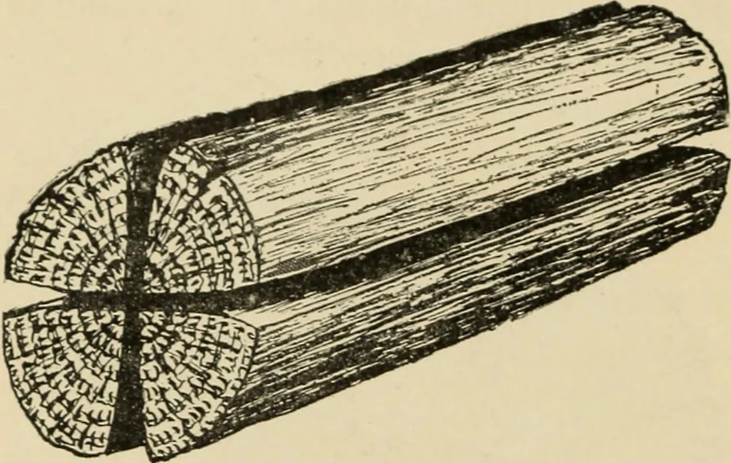 An illustration from Woodworking for beginners; a manual for amateurs, 1900, leaf 47