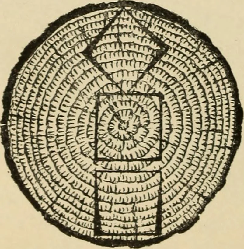An illustration from Woodworking for beginners; a manual for amateurs, 1900, leaf 47