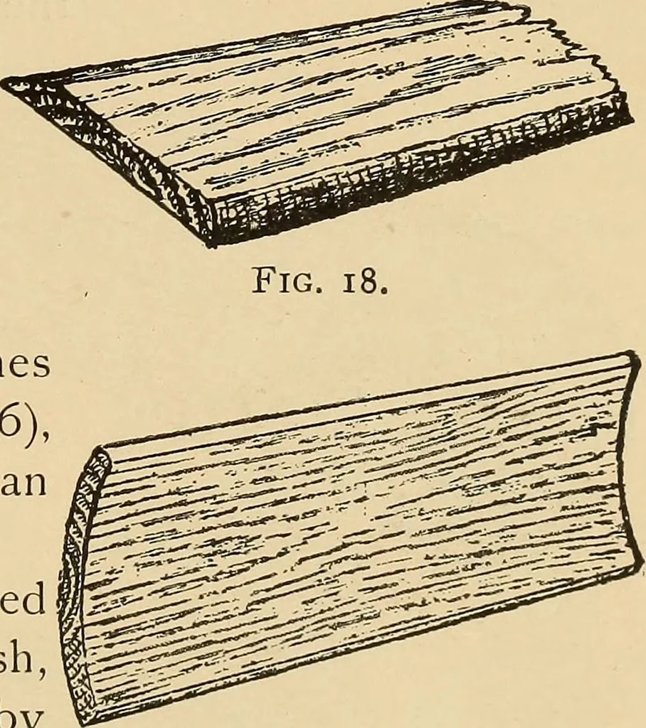 An illustration from Woodworking for beginners; a manual for amateurs, 1900, leaf 48