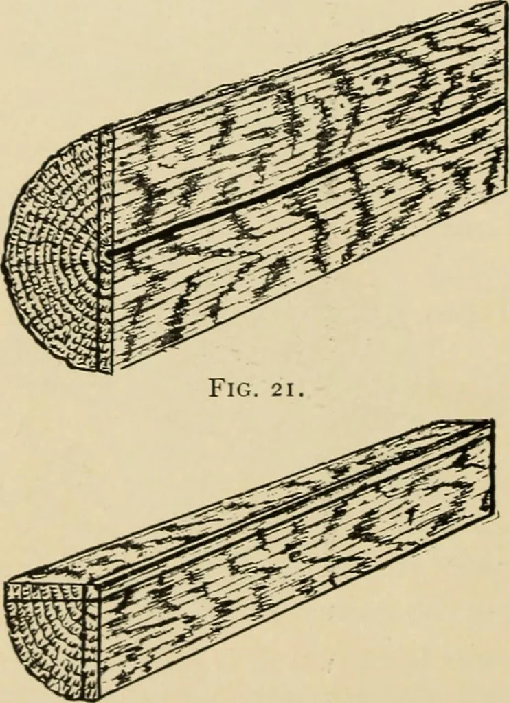 An illustration from Woodworking for beginners; a manual for amateurs, 1900, leaf 49
