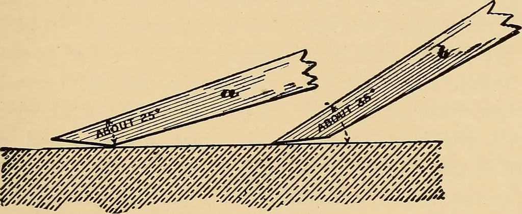 An illustration from Woodworking for beginners; a manual for amateurs, 1900, leaf 498