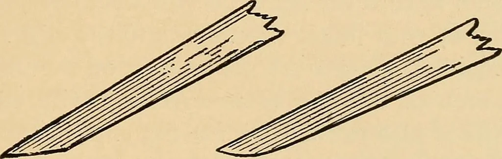 An illustration from Woodworking for beginners; a manual for amateurs, 1900, leaf 498