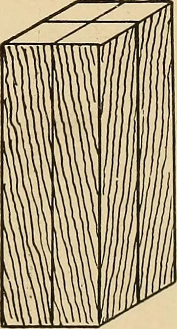 An illustration from Woodworking for beginners; a manual for amateurs, 1900, leaf 50