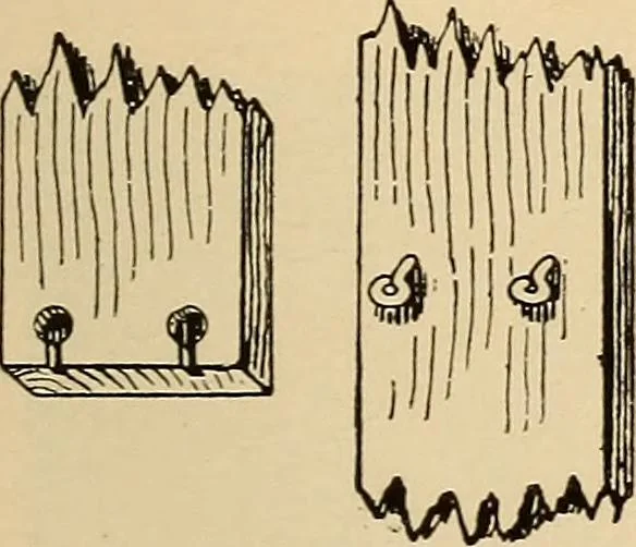 An illustration from Woodworking for beginners; a manual for amateurs, 1900, leaf 504