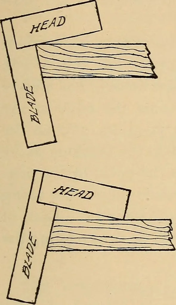An illustration from Woodworking for beginners; a manual for amateurs, 1900, leaf 508