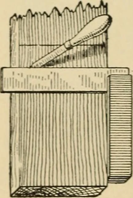 An illustration from Woodworking for beginners; a manual for amateurs, 1900, leaf 509