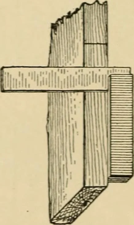 An illustration from Woodworking for beginners; a manual for amateurs, 1900, leaf 509