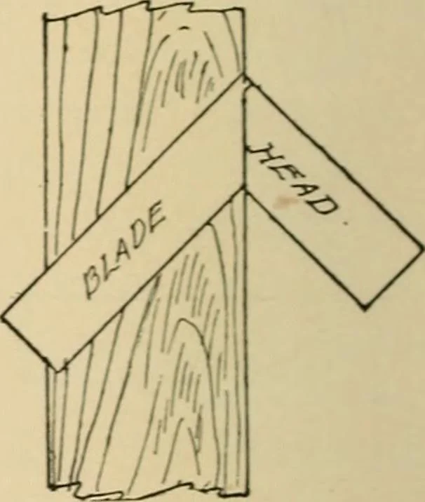 An illustration from Woodworking for beginners; a manual for amateurs, 1900, leaf 509
