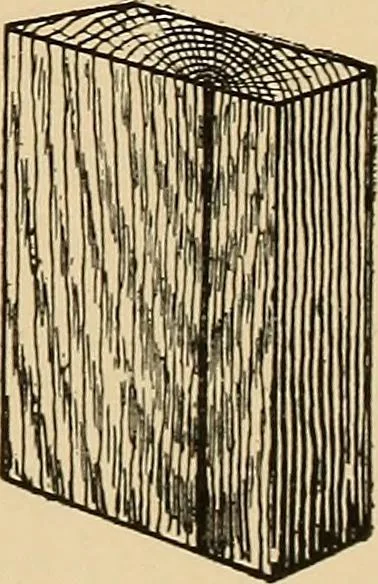 An illustration from Woodworking for beginners; a manual for amateurs, 1900, leaf 522