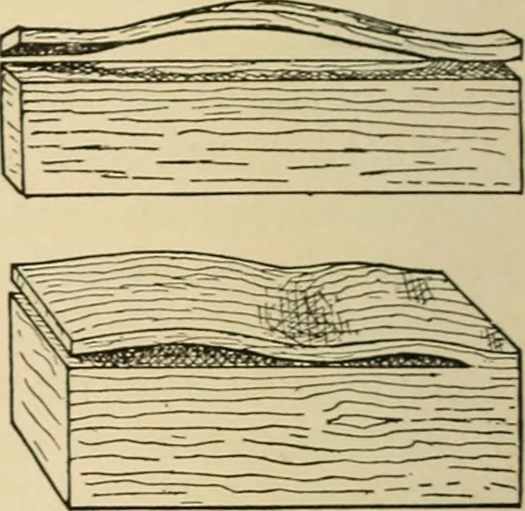 An illustration from Woodworking for beginners; a manual for amateurs, 1900, leaf 543
