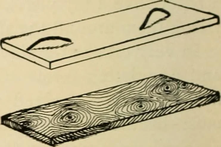 An illustration from Woodworking for beginners; a manual for amateurs, 1900, leaf 545