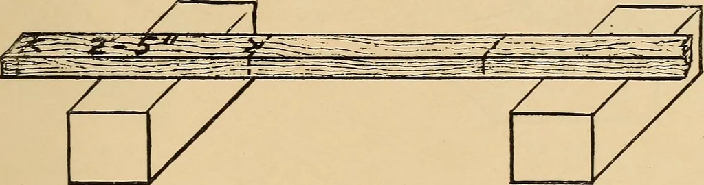 An illustration from Woodworking for beginners; a manual for amateurs, 1900, leaf 74