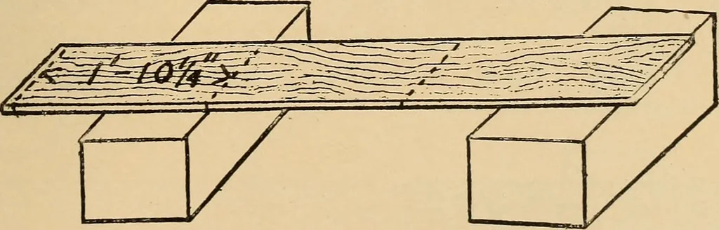 An illustration from Woodworking for beginners; a manual for amateurs, 1900, leaf 74