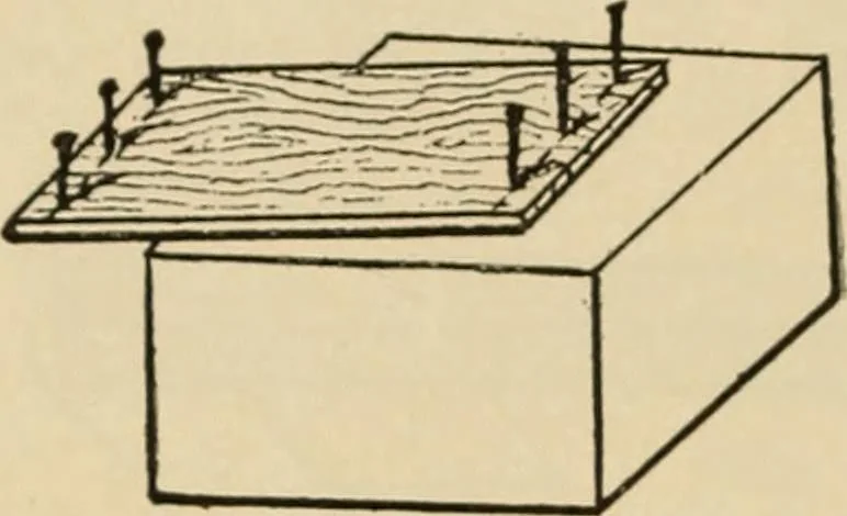 An illustration from Woodworking for beginners; a manual for amateurs, 1900, leaf 75