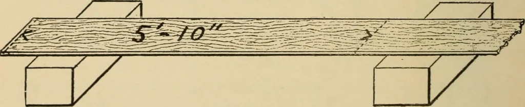 An illustration from Woodworking for beginners; a manual for amateurs, 1900, leaf 75