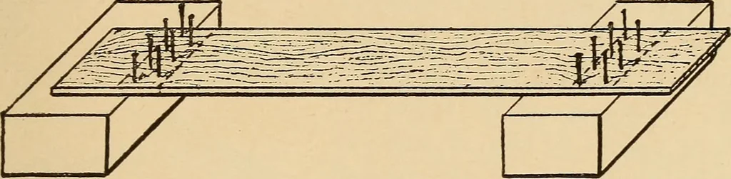 An illustration from Woodworking for beginners; a manual for amateurs, 1900, leaf 76