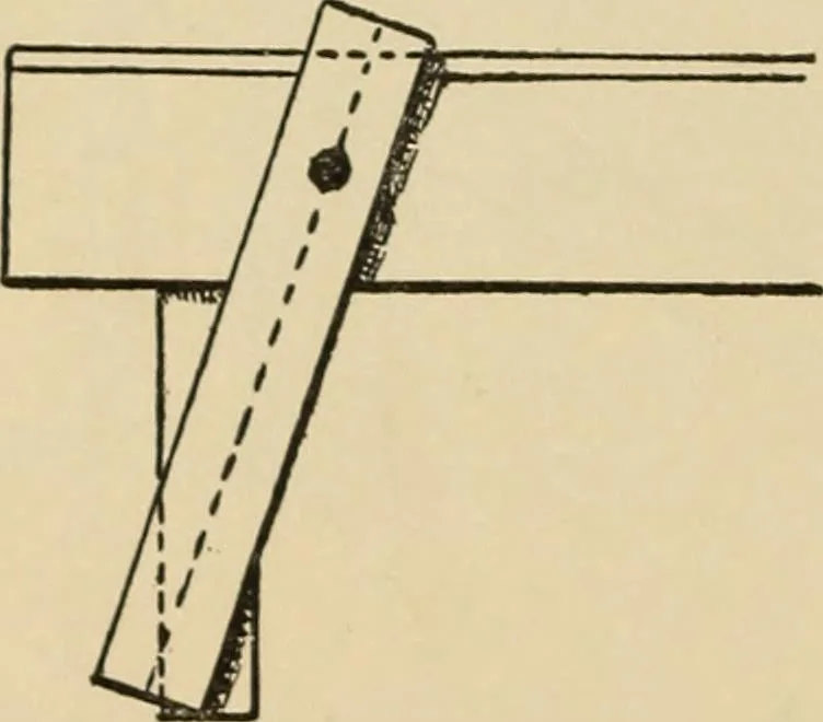 An illustration from Woodworking for beginners; a manual for amateurs, 1900, leaf 81