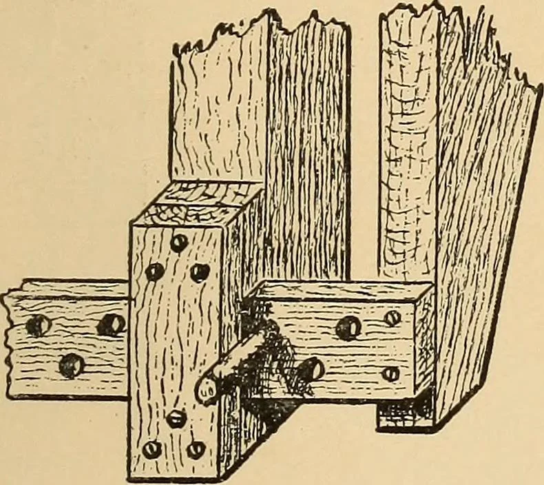 An illustration from Woodworking for beginners; a manual for amateurs, 1900, leaf 82