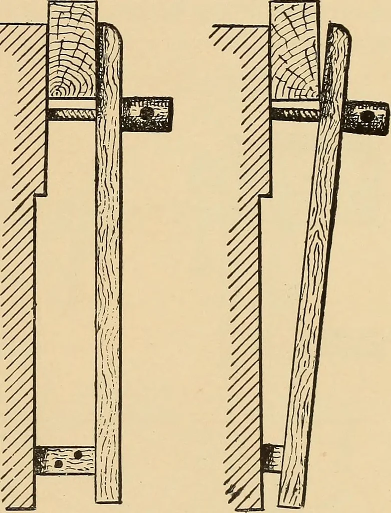 An illustration from Woodworking for beginners; a manual for amateurs, 1900, leaf 82