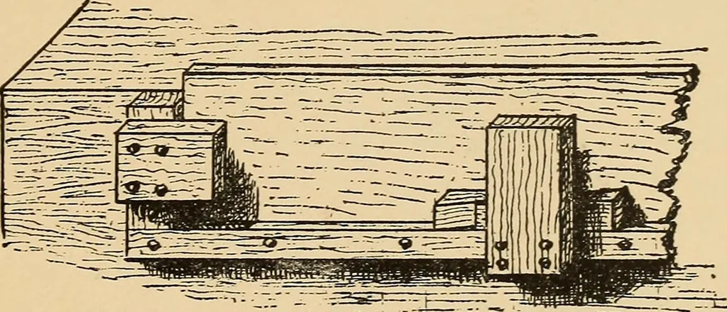 An illustration from Woodworking for beginners; a manual for amateurs, 1900, leaf 84
