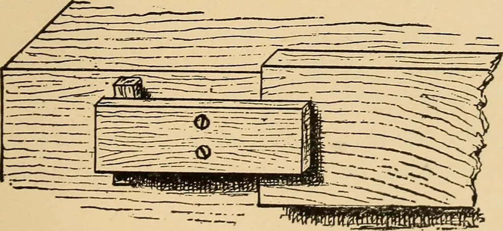 An illustration from Woodworking for beginners; a manual for amateurs, 1900, leaf 84