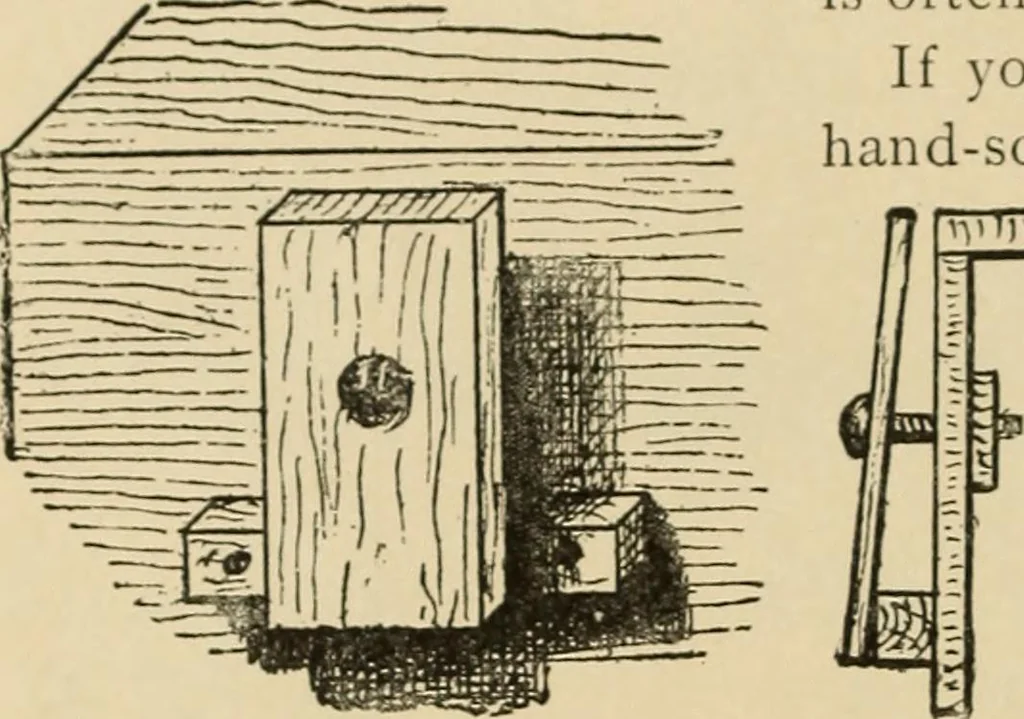 An illustration from Woodworking for beginners; a manual for amateurs, 1900, leaf 85