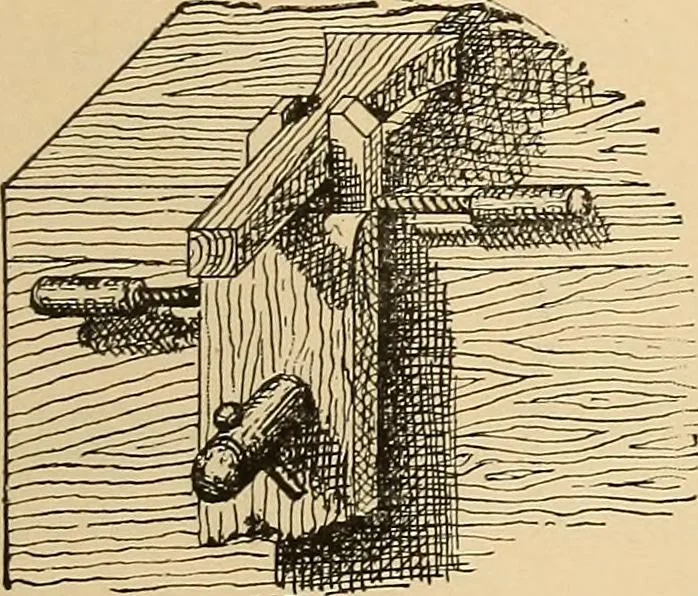 An illustration from Woodworking for beginners; a manual for amateurs, 1900, leaf 86