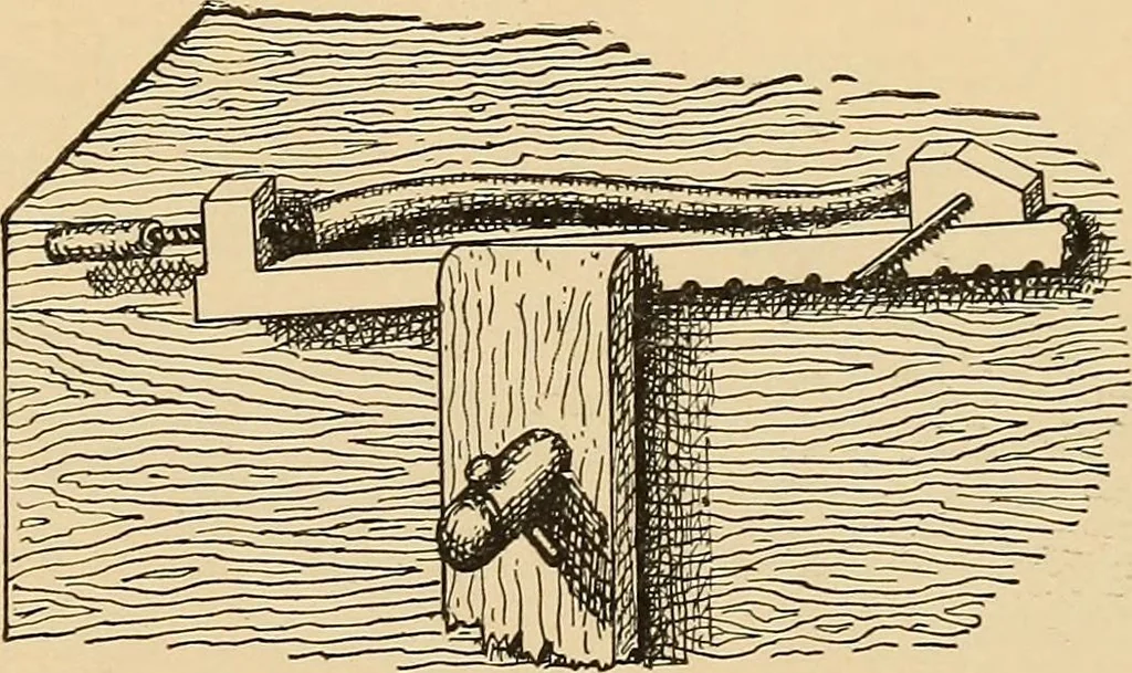 An illustration from Woodworking for beginners; a manual for amateurs, 1900, leaf 86