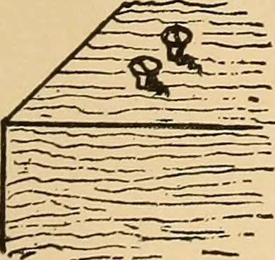 An illustration from Woodworking for beginners; a manual for amateurs, 1900, leaf 86