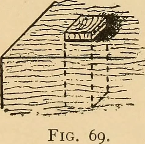 An illustration from Woodworking for beginners; a manual for amateurs, 1900, leaf 86