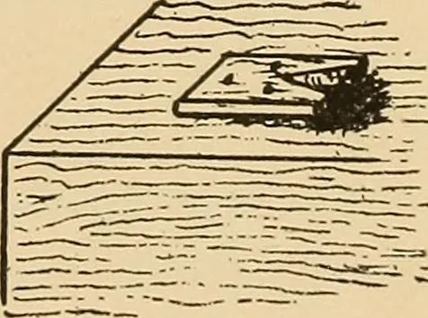 An illustration from Woodworking for beginners; a manual for amateurs, 1900, leaf 86