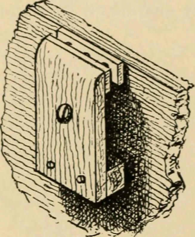 An illustration from Woodworking for beginners; a manual for amateurs, 1900, leaf 91