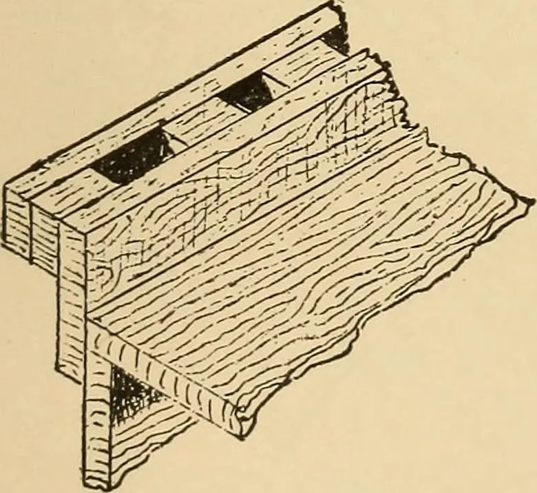 An illustration from Woodworking for beginners; a manual for amateurs, 1900, leaf 98