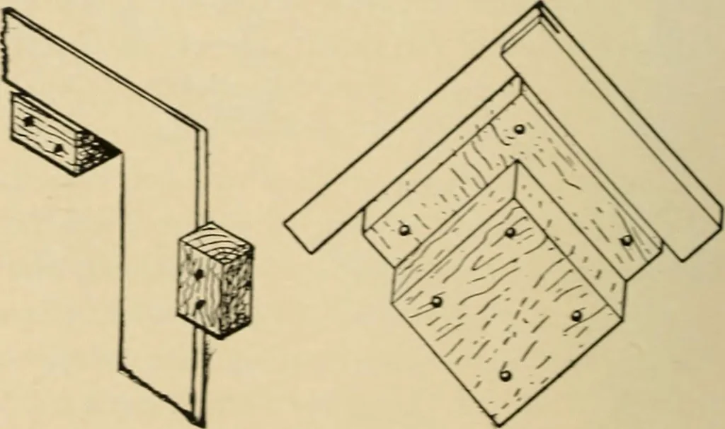 An illustration from Woodworking for beginners; a manual for amateurs, 1900, leaf 99