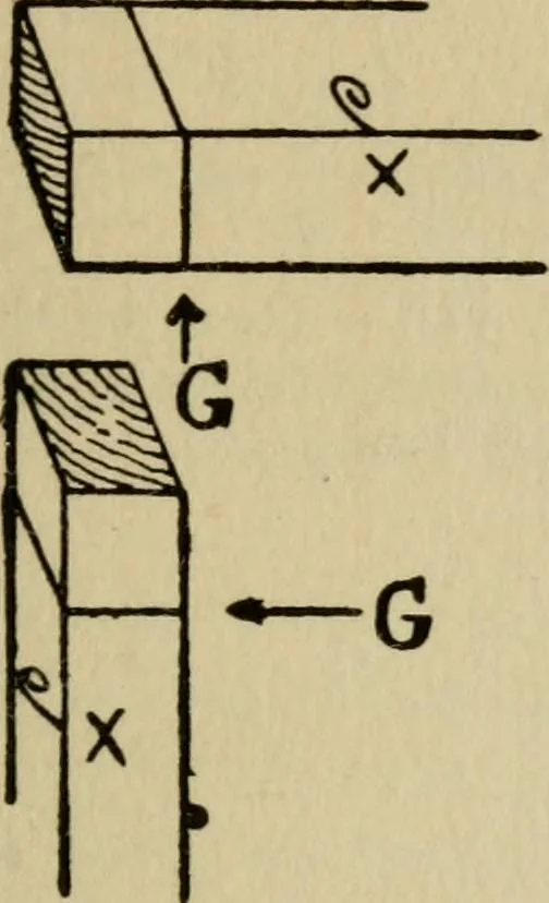 An illustration from Woodwork joints; how they are set out, how made and where used; with four hundred and thirty illustrations and a complete index of eleven hundred references, 1921, leaf 146