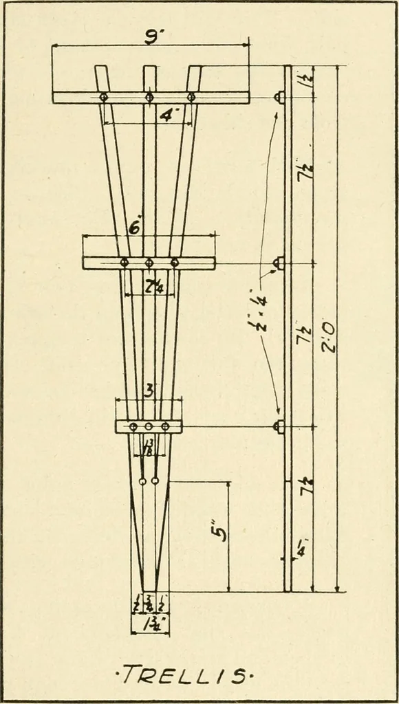 An illustration from Woodwork and mechanical drawing, 1914, leaf 24